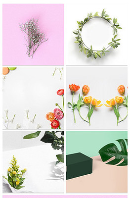 植物花卉图案背景素材