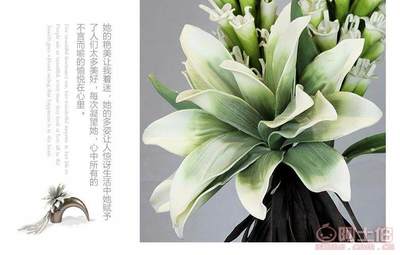 【帝恩尼EVA高档仿真盆花纯手工仿真花卉盆花客厅迷你仿真小盆花厂家直销】佛山市顺德区乐从镇帝恩尼家居饰品店