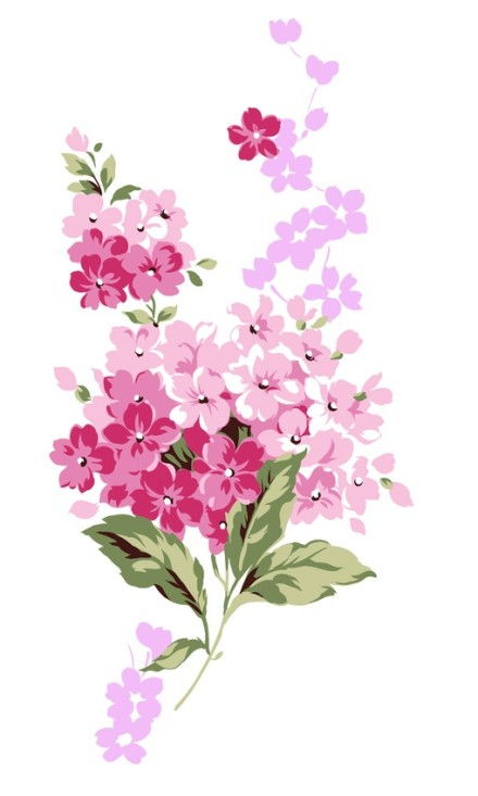手绘花卉 堆糖,美好生活研究所