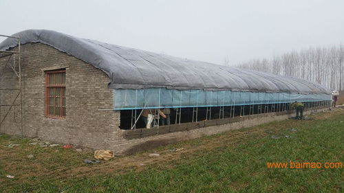 郑州养殖大棚筹建厂家育苗大棚建造设计方案,郑州养殖大棚筹建厂家育苗大棚建造设计方案生产厂家,郑州养殖大棚筹建厂家育苗大棚建造设计方案价格