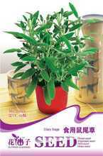 【食用鼠尾草】最新最全食用鼠尾草 产品参考信息