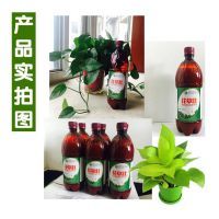 【批发销售全营养活菌液】价格_厂家 - 中国供应商
