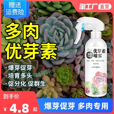 当前网购流行产品