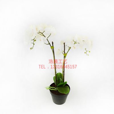 【东莞厂家直销 花卉仿真盆栽装饰 塑料植物盆景 花色可自己选择款式可来图定制】价格_厂家 - 中国供应商