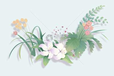 花卉背景图片素材_免费下载_psd图片格式_VRF高清图片401051659