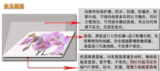 【厂家混批客厅现代装饰画餐厅装饰无框画植物花卉挂画直销批发】深圳市龙岗区爱凤油画店 - 产品库