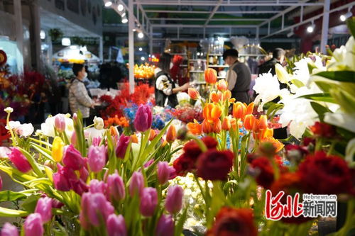 唐山凤凰花卉市场入围中国商品市场峰会 时尚市场 30强