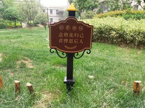 这哪里是采摘水果,这是抢 劫