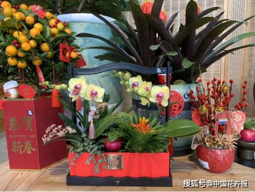 年宵的花样打开方式 春天花乐园开启2021 年宵花节