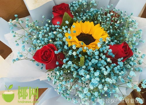 情人节使三亚 浪漫经济 升温 鲜花 巧克力 香化类商品热售