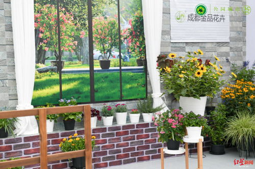 14家机构企业签约 成都发布首批花木园艺4大新场景 7大新产品