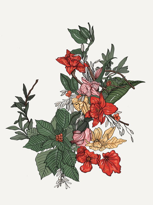 花卉插画
