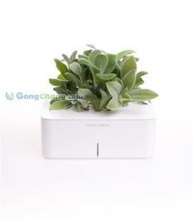 供应最新电子植物盆栽花卉 电子养花_礼品、工艺品、饰品_世界工厂网中国产品信息库