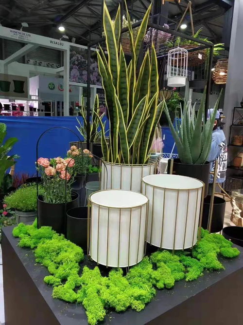 临沂大名诚邀您参观郑州仿真植物花卉及配套用品展