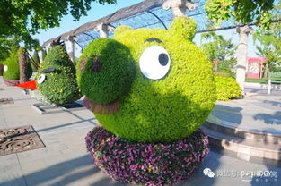 北京看菊花的地方有哪些